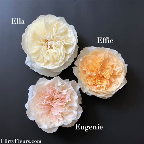 Three New Varieties Of David Austin Cut Roses Flirty Fleurs The