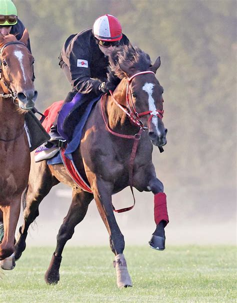 【注目馬動向】凱旋門賞14着のステイフーリッシュは有馬記念が目標 フォレ賞3着のエントシャイデンは香港マイルを視野 Umatoku 馬トク