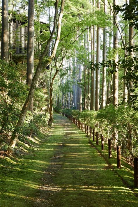 Aman Kyoto: Tranquility and Restoration