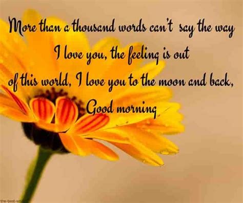 Good Morning Love Letters For Wife - wisdom good morning quotes