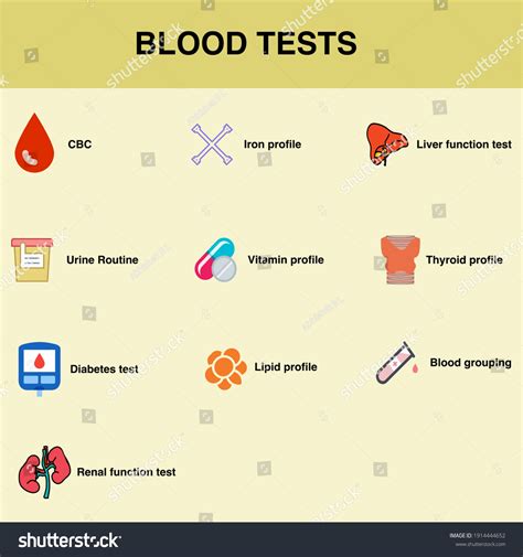 Cbc Tube Images: Browse 982 Stock Photos & Vectors Free Download with