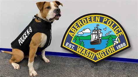 Aberdeen Police K9 Zero Receives Donation Of Body Armor Kxro News Radio