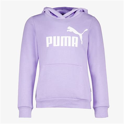 Puma Essentials Big Logo Kinder Hoodie Lila Online Bestellen Scapino