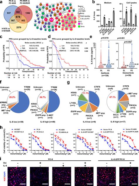 Pc 9 Cell Lines Atcc Bioz