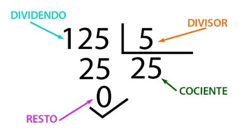 Dividendo Divisor Cociente Y Residuo Todo Lo Que Necesitas Saber Webma