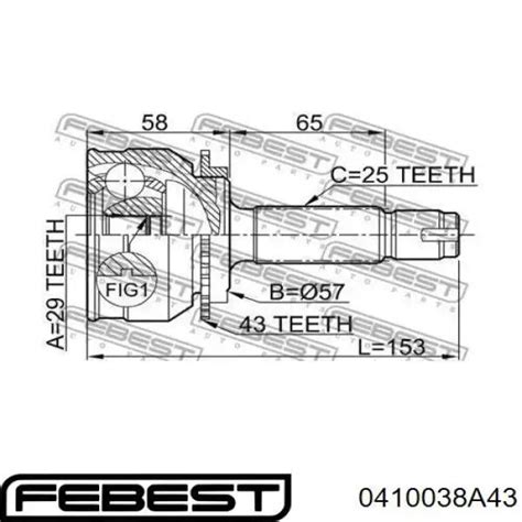 A Febest Junta Homocin Tica Exterior Delantera