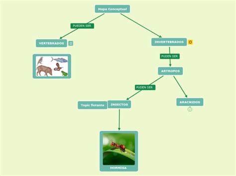 Mapa Conceptual Mind Map