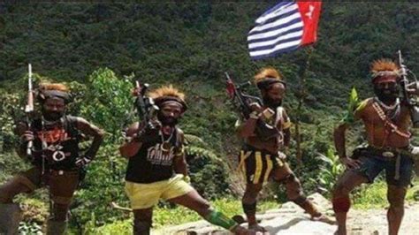 KKB Papua Klaim 1 Juli Hari Kemerdekaan Papua Barat Begini Sejarahnya