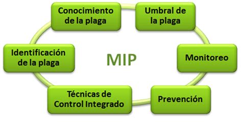 Sistema De EvaluaciÓn Manejo Integrado De Plagas