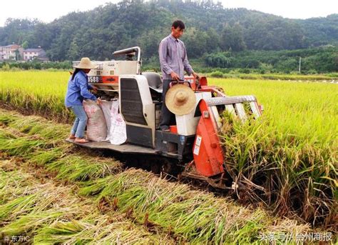 截至去年底，台州糧食生產耕種收綜合機械化水平達7574 每日頭條