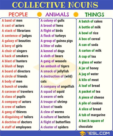 List of Nouns: 1000+ Common Nouns List in English • 7ESL