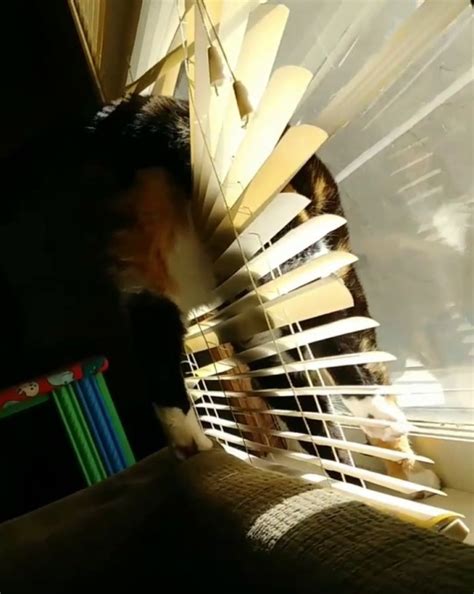 What Are You Doing You Fuzzy Fuck Tumbex