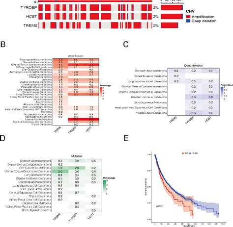 Figure 1 From Deciphering The Molecular And Clinical Characteristics Of