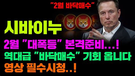 시바이누 긴급 2월 역대급 바닥매수 기회 오고있다 1000 대폭등 본격준비중 코인시황 Youtube