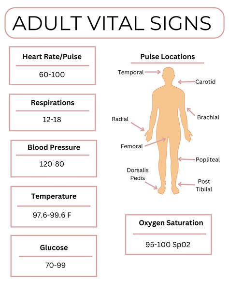 Vital Signs Cheat Sheet Adult Vital Signs New Grad Nurse Cheat