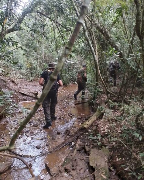 Guardaparques Desmantelaron Campamento De Cazadores Furtivos En La