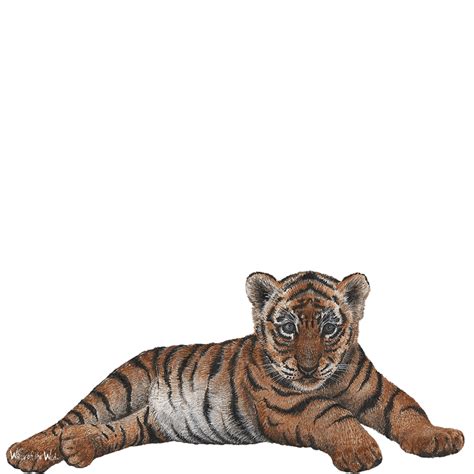 Tiger Wall decal Sticker - tiger cub png download - 1024*1024 - Free Transparent Tiger png ...