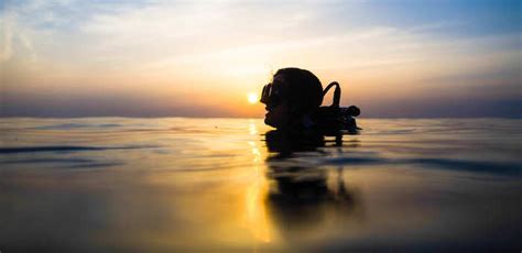 Night Diving and Nocturnal Critters in North Sulawesi – North Sulawesi ...