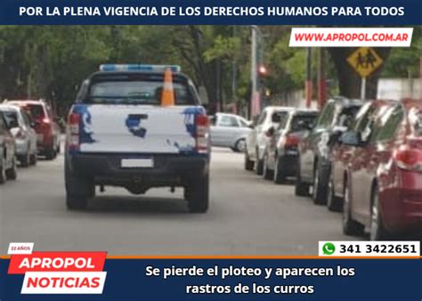 APROPOL Noticias Se Pierde El Ploteo Y Aparecen Los Rastros De Los Curros