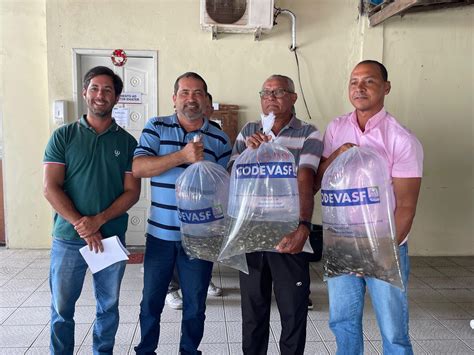 Parceria Distribui Mil Alevinos Em Penedo Sem Custo Para Produtores