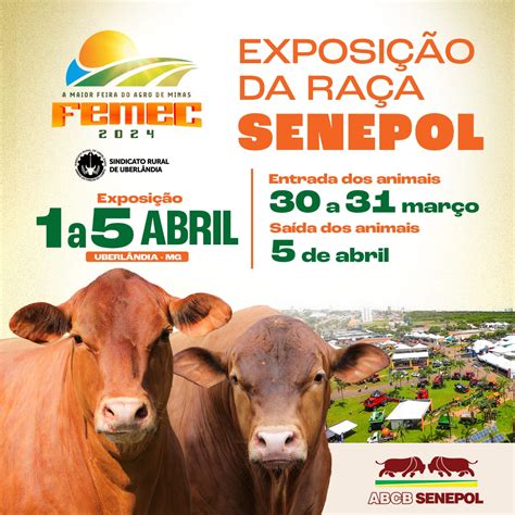 FEMEC 2024 A Maior Feira Do Agro De Minas