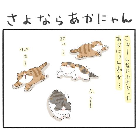 さよならあかにゃん │ もふもふびより