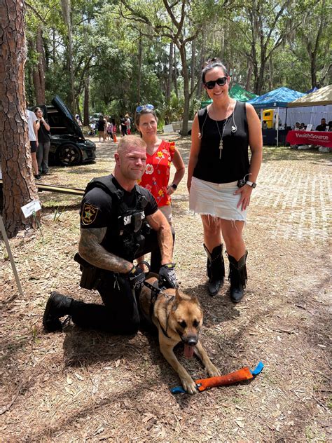 Public guides explain how to find pinellas county jail records 16