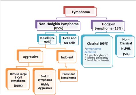 Hemeonc Non Hodkin Lymphoma Flashcards Quizlet