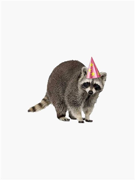 Raccoon With Party Hat Sticker By Odanaesset Redbubble