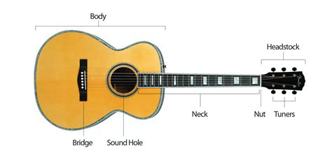 Parts Of Guitar Diagram