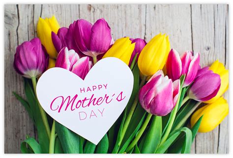 Happy Mothers Day Tulips 55mm X 85mm Florist Cards Celloexpress