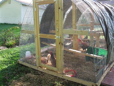 New Hoop House Addition Backyard Chickens Learn How To Raise Chickens