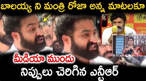 బాలయ్య ని మంత్రి రోజా అన్న మాటలకూ మీడియా ముందు నిప్పులు చెరిగిన