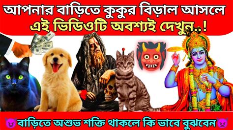 বাড়িতে কুকুর বিড়াল আসা কী শুভ নাকি অশুভ কি বলছে শ্রীকৃষ্ণgadur Puran