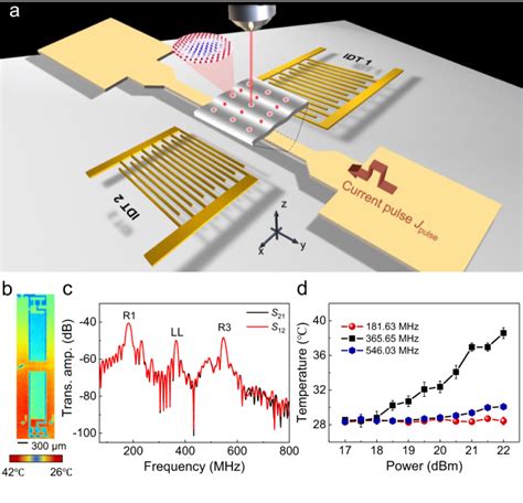 Ordered Creation And Motion Of Skyrmions With Surface Acoustic Wave