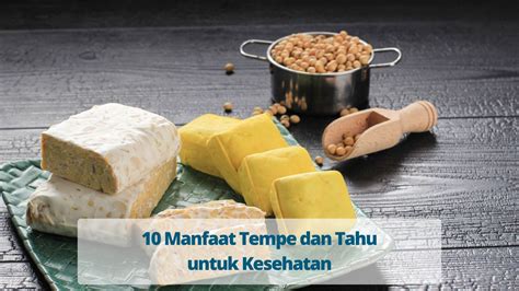 Manfaat Tempe Dan Tahu Untuk Kesehatan Primaya Hospital