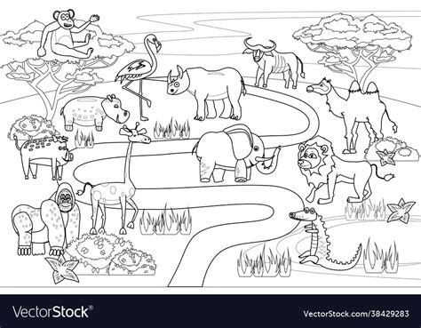 Jungle africa safari animals coloring book Vector Image