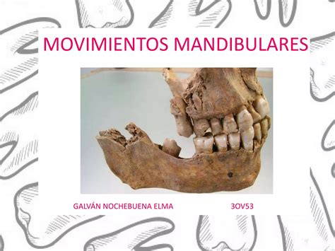 Movimientos Mandibulares Ppt