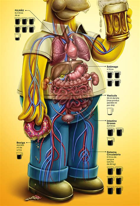 Quanto Tempo Leva Para A Gua Ir Para A Bexiga O Contador De Cervejas