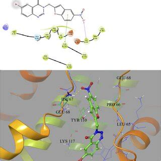 D And D Interaction H Bond And Interaction Shown In Yellow And