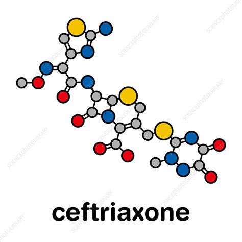 Ceftriaxone Antibiotic Drug Molecule Illustration Stock Image F028