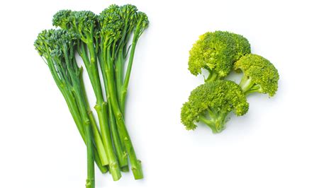 What Is Broccolini vs. Broccoli - Recipes.net