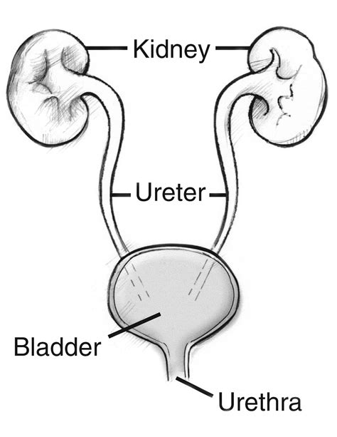 20 Kidney infection symptoms you need to know