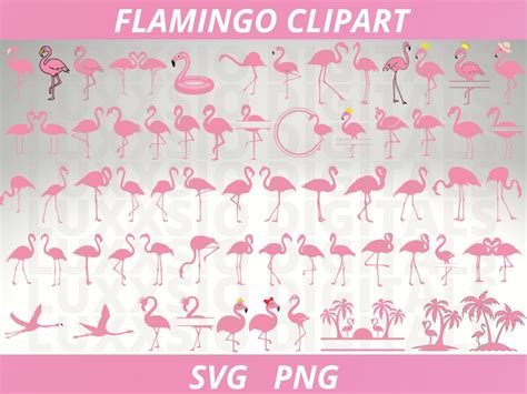 Flamingo Svg Pink Flamingo Svg Flamingo Svg Bundle Flamingo Etsy