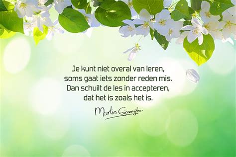 Gedicht Over Accepteren Dichtgedachten Martin Gijzemijter