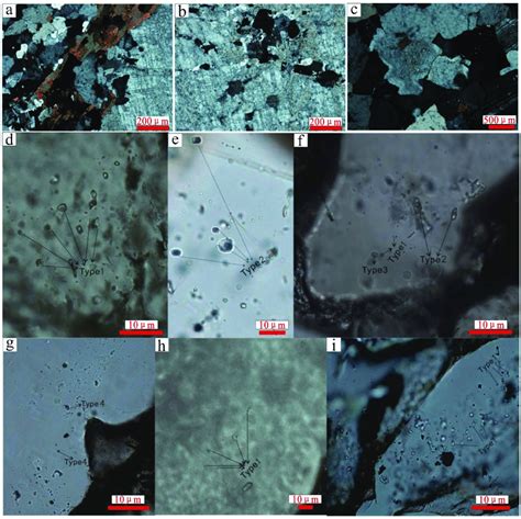 A C Photomicrographs Under Cross Polarized Light Showing The Download Scientific Diagram