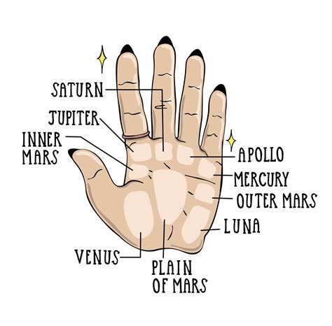 beginners guide  reading palms palm reading reading