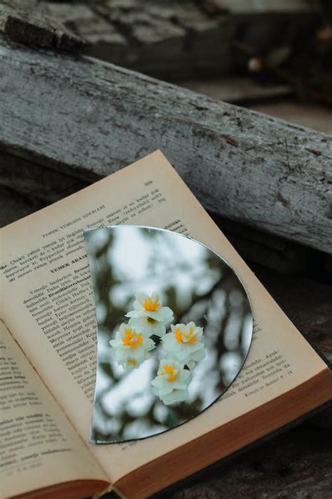 Open Book with Flowers · Free Stock Photo