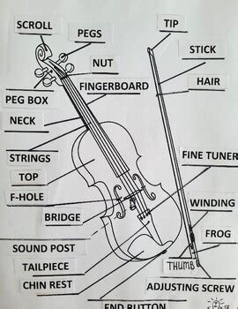 Violin and Bow Parts. Names with Games. by Irina Music Studio | TPT