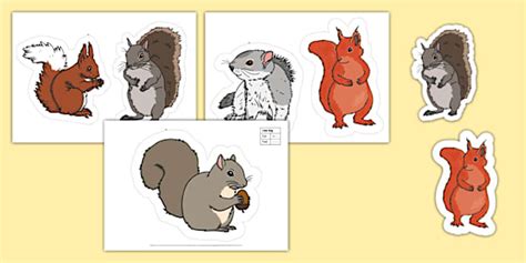 Squirrel Illustrations Display Cut Outs Twinkl